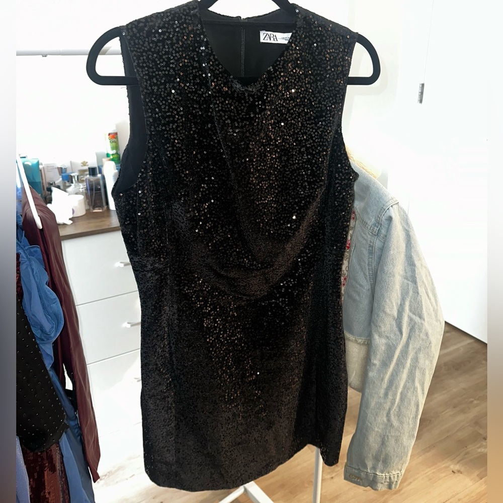 Zara Sequin Dress